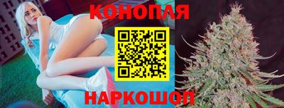 apvp Будённовск