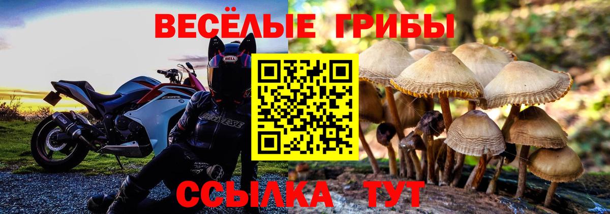 Пыть-Ях  Псилоцибиновые грибы мицелий  Вход с VPN 