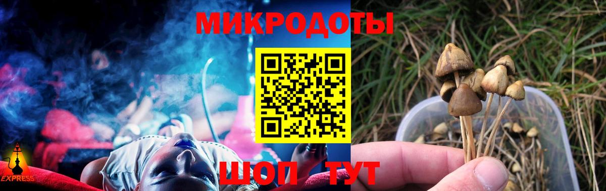 Псилоцибиновые грибы GOLDEN TEACHER Пыть-Ях